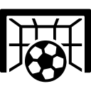 韦芝